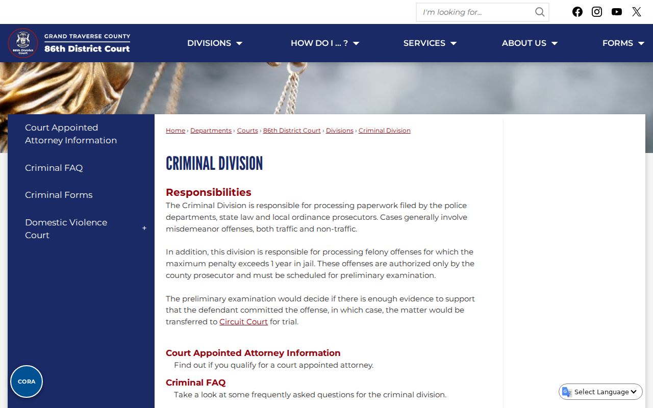 Grand Traverse criminal docket information from the 86th District Criminal Division